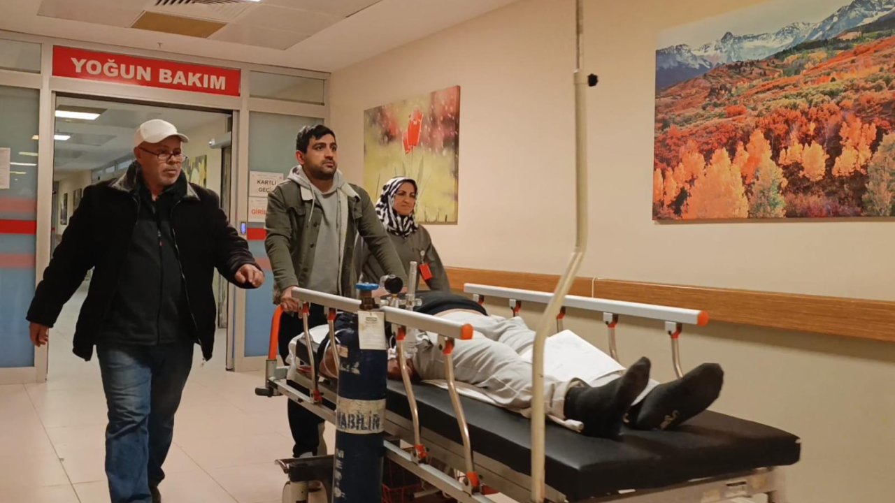 Ormandan toplayıp yediği mantardan zehirlendi
