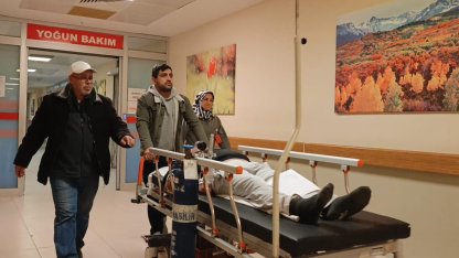 Ormandan toplayıp yediği mantardan zehirlendi