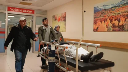 Ormandan toplayıp yediği mantardan zehirlendi