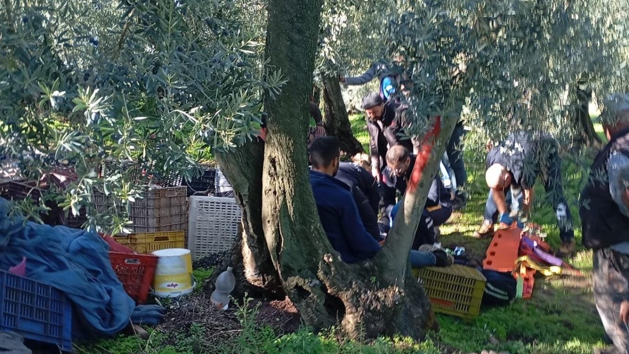 Traktörün devrilen römorkundan düşen 3 işçi yaralandı