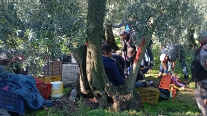 Traktörün devrilen römorkundan düşen 3 işçi yaralandı