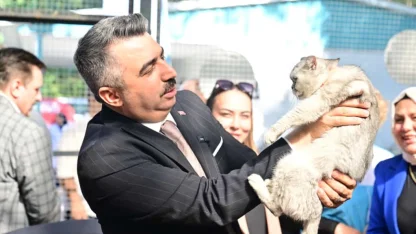Yıldırım Belediyesi sokak hayvanları için 'Sahiplendirme Merkezi' açtı