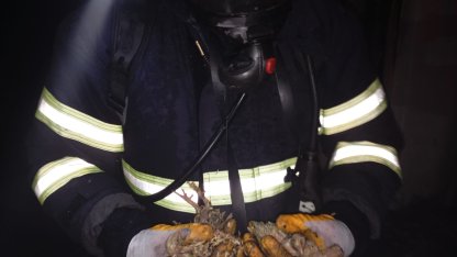 Balıkesir’de tavuk çiftliğinde çıkan yangında 5 bin civciv öldü