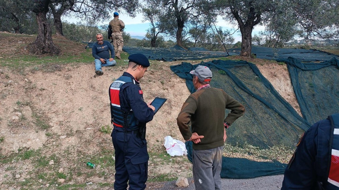 Balıkesir&#039;de zeytin hırsızlığına karşı jandarma ve komandolar sahada