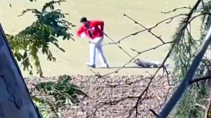 Belediye personeli, sokak köpeğini iple sürükledi