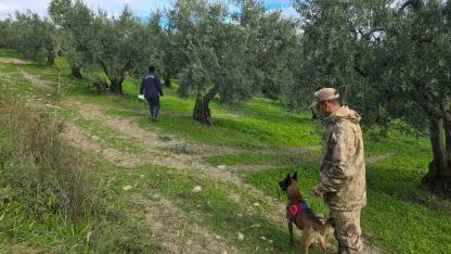Bursa’da 3 gündür kayıp olan alzheimer hastası için arama çalışmaları sürüyor
