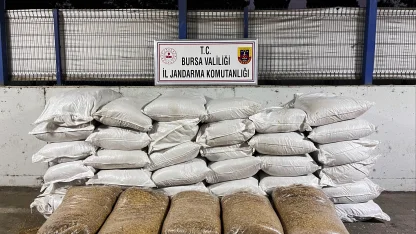 Bursa'da jandarmadan 'kaçak tütün' operasyonu; 5 gözaltı