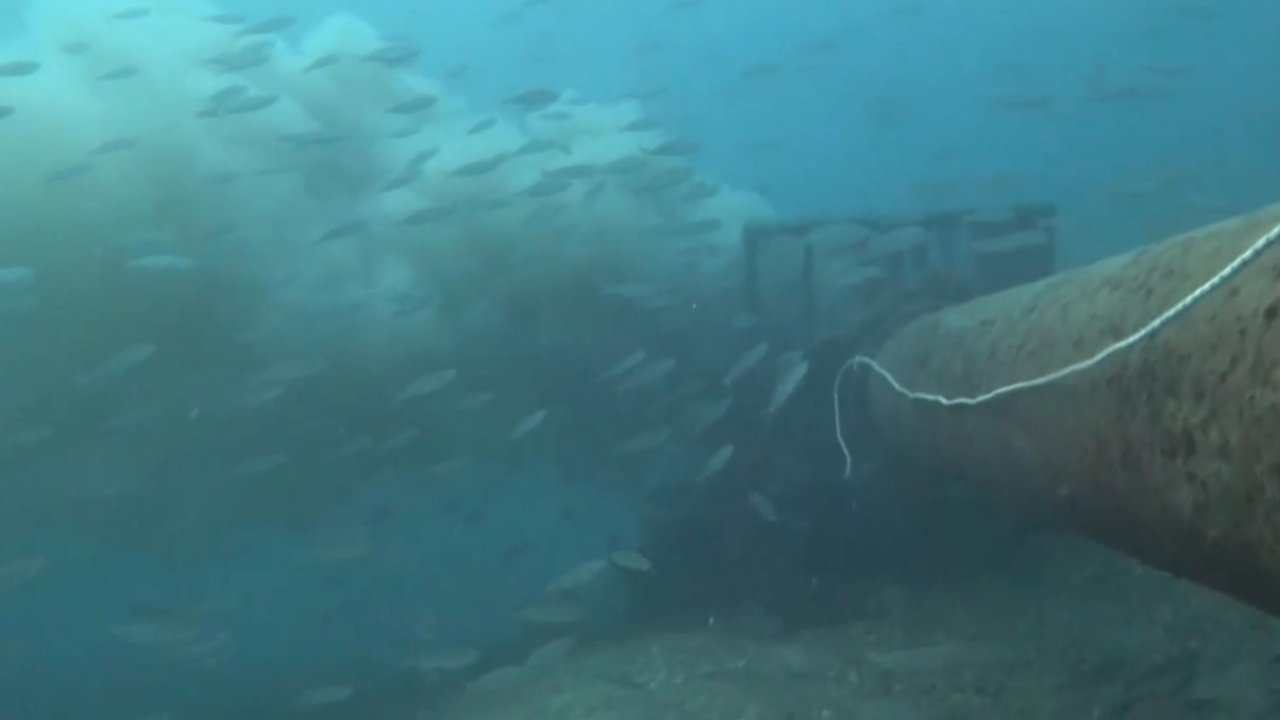 Çanakkale Boğazı&#039;nda denize dökülen pis su, dalgıç kamerasında