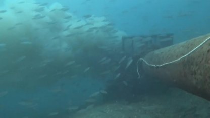 Çanakkale Boğazı'nda denize dökülen pis su, dalgıç kamerasında