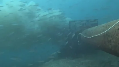 Çanakkale Boğazı'nda denize dökülen pis su, dalgıç kamerasında