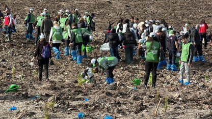 Çanakkale'de 20 bin fidan toprakla buluştu