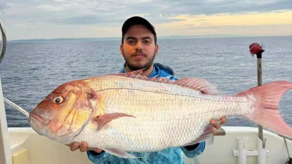 Çanakkale’de balıkçılar oltayla 12 kiloluk mercan yakaladı