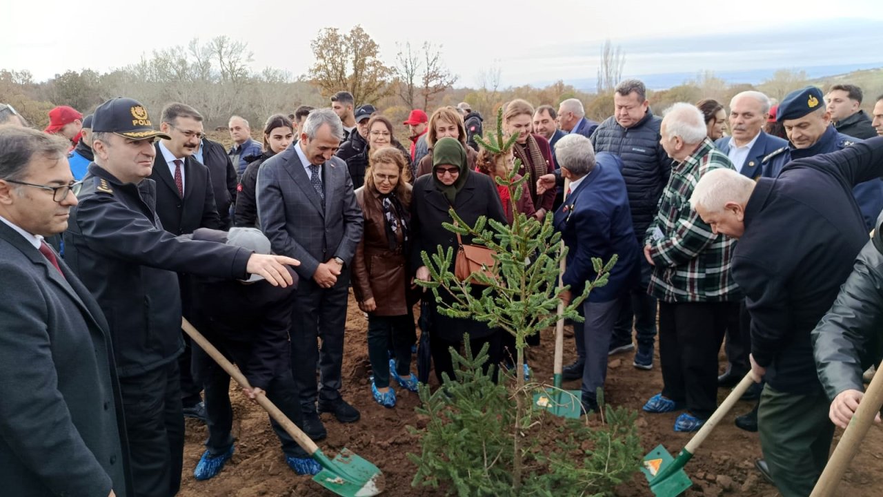 Edirne’de 500 çam fidanı, şehitlerin anısına toprakla buluştu