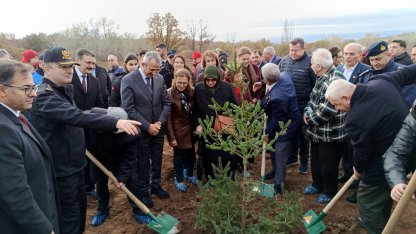 Edirne’de 500 çam fidanı, şehitlerin anısına toprakla buluştu