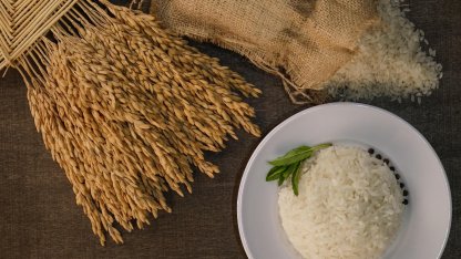 İpsala pirinci, AB Coğrafi İşaret Tescili aldı