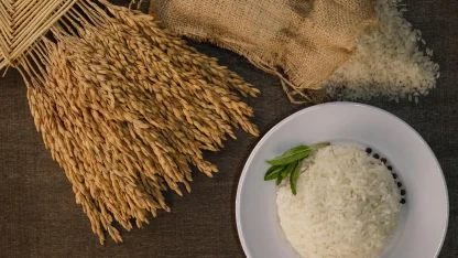 İpsala pirinci, AB Coğrafi İşaret Tescili aldı