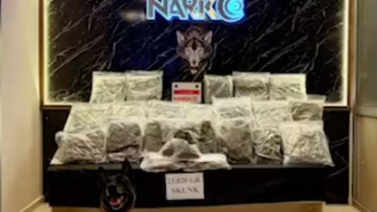 Kapıkule'de otomobile gizlenmiş 23 kilo skunk ele geçirildi