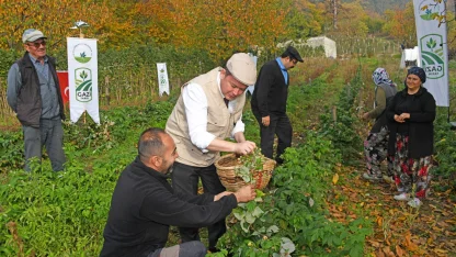 Osmangazi’de üzümsü meyvelerde organik tarım seferberliği
