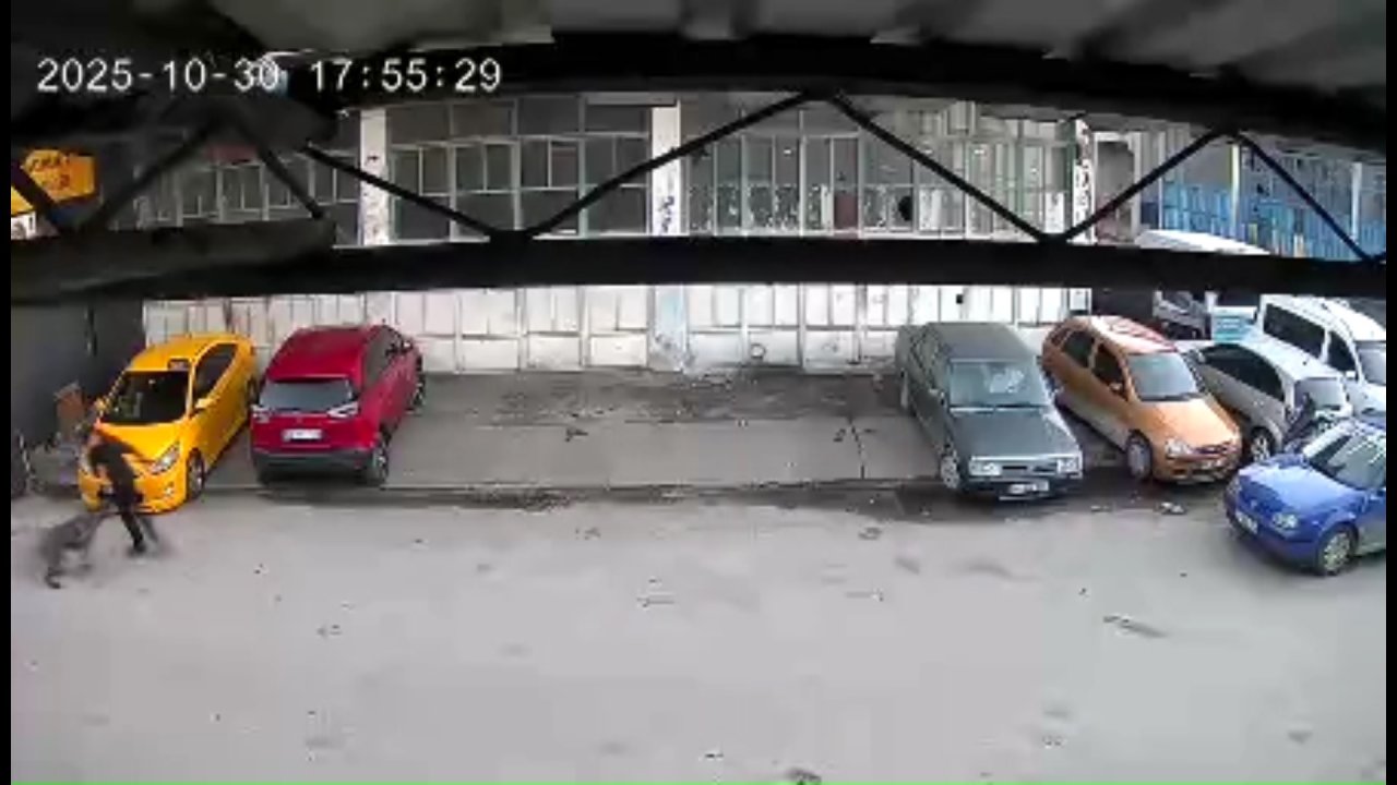 Sakarya- Köpeğin saldırısına uğrayan çocuğu babası kurtardı; o anlar kamerada /Video eklendi