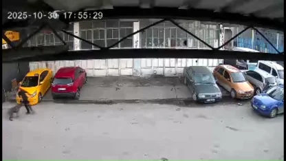 Sakarya- Köpeğin saldırısına uğrayan çocuğu babası kurtardı; o anlar kamerada