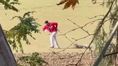 Sokak köpeğini iple sürükleyen belediye personeli adli kontrolle serbest