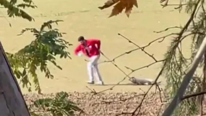 Sokak köpeğini iple sürükleyen belediye personeli adli kontrolle serbest