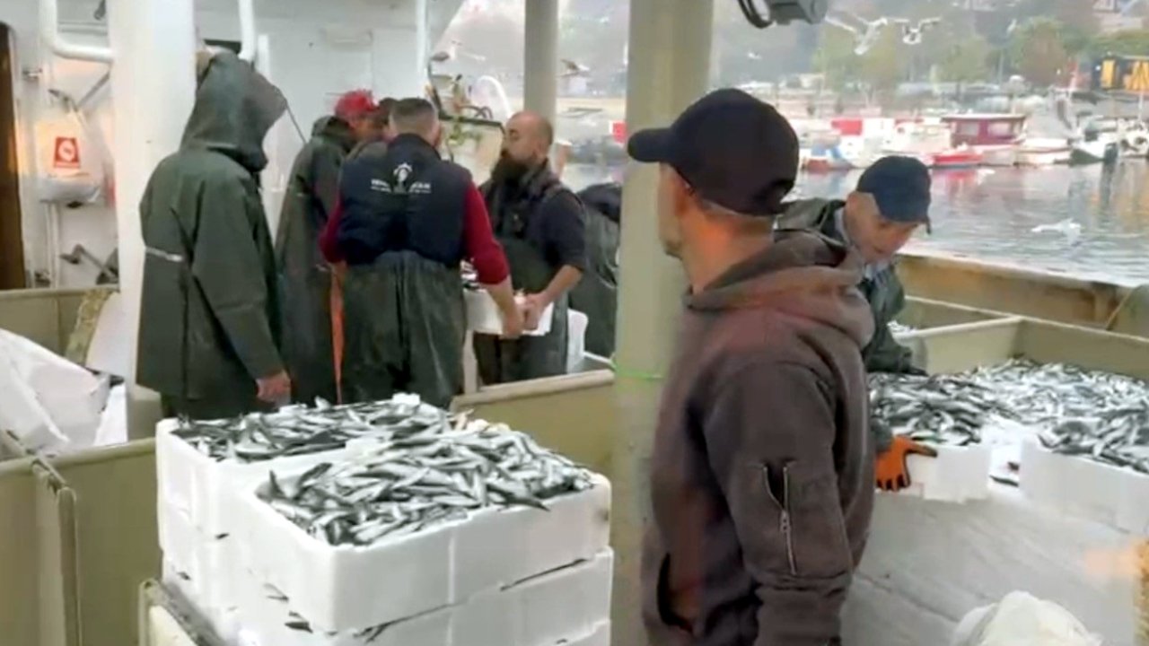 Tekirdağ’da balıkçılar denizden kasalar dolusu hamsi ve sardalyayla döndü