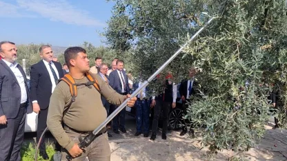 Tekirdağ’da zeytin hasat etkinliği düzenlendi