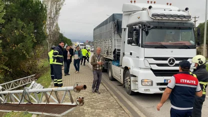 TIR'ın açılan dorsesi PTS direğini devirdi