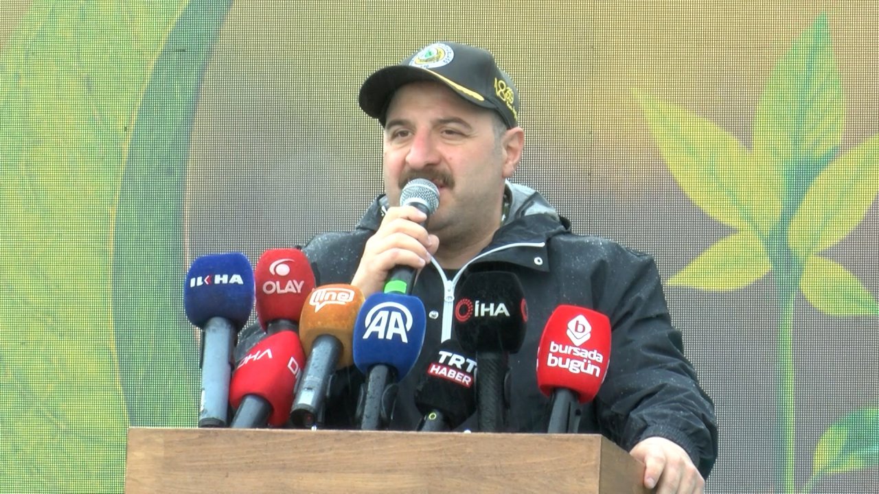 Varank: Kanunen, yanan ormanlar sadece orman yapılabilir