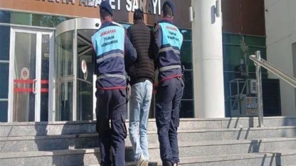 1 milyon 200 bin liralık ‘Tiny House'u çalan şüpheli tutuklandı