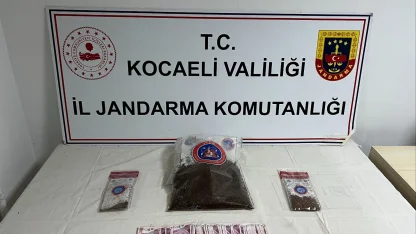 Apartman dairesinde 1 kilo 287 gram bonzai ele geçirildi