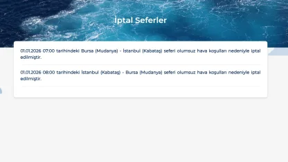 BUDO'nun 1 Ocak'taki 2 seferi iptal edildi