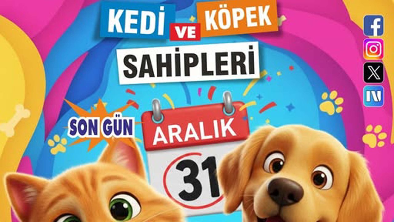 Burhaniye&#039;de kedi ve köpekler için mikroçip uyarısı