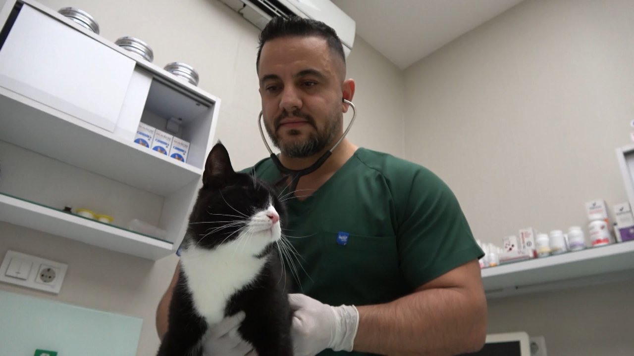 Bursa'da 'sokak canları'na ücretsiz kısırlaştırma ve check up imkanı