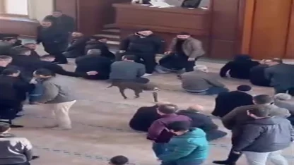 Camiye giren pitbullun sahibine adli ve idari işlem yapıldı