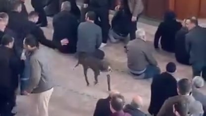 Cuma vaazı sırasında camiye pitbullun girdiği anlar kamerada