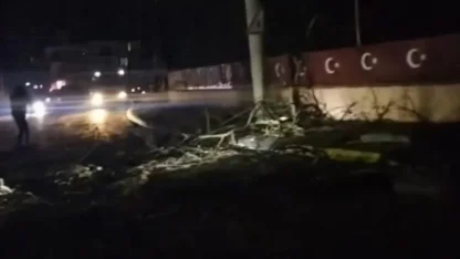 Devrilen ağaç 2 mahalleyi elektriksiz bıraktı