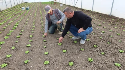 Edirne’de yapımı tamamlanan 20 serada üretim başladı