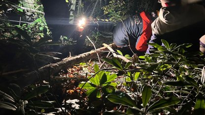 Engebeli arazide düşerek yaralanan orman işçisini ekipler kurtardı