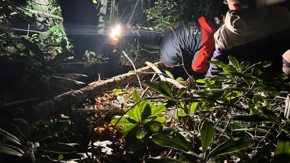 Engebeli arazide düşerek yaralanan orman işçisini ekipler kurtardı