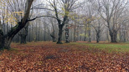 Istranca Dağları etekleri, doğa fotoğrafçıları ve kamp tutkunlarının gözdesi oldu / Ek fotoğraflar