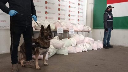 Kapıkule'ye gelen TIR'daki 591 kilo uyuşturucuyu 'Bodri' buldu