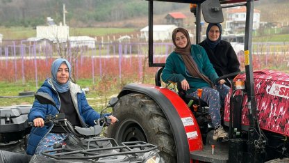 Kentten kırsala dönüp yaban mersini yetiştiren kadınlar, hemcinslerinin de bütçelerine katkı sağlıyor