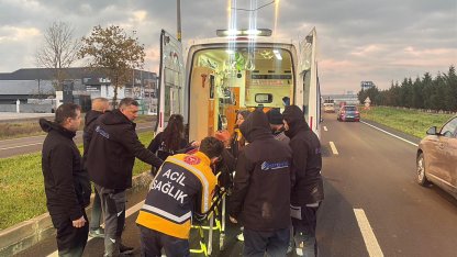 Köpeğe çarpan otomobilin sürücüsü yaralandı