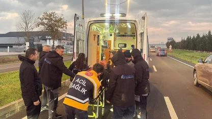 Köpeğe çarpan otomobilin sürücüsü yaralandı