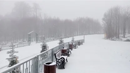 Kuzuyayla Tabiat Parkı beyaza büründü