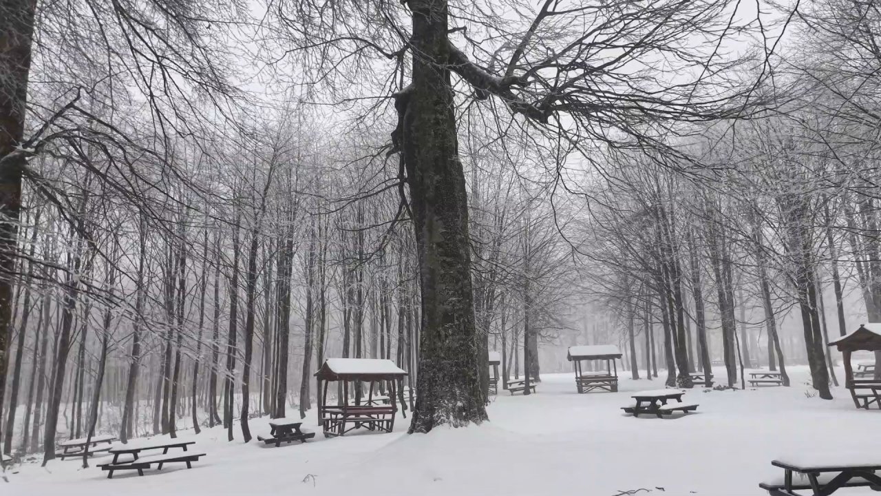 Kuzuyayla Tabiat Parkı’nda kar manzarası