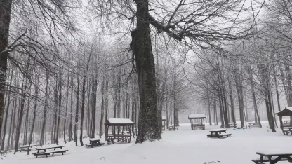 Kuzuyayla Tabiat Parkı’nda kar manzarası