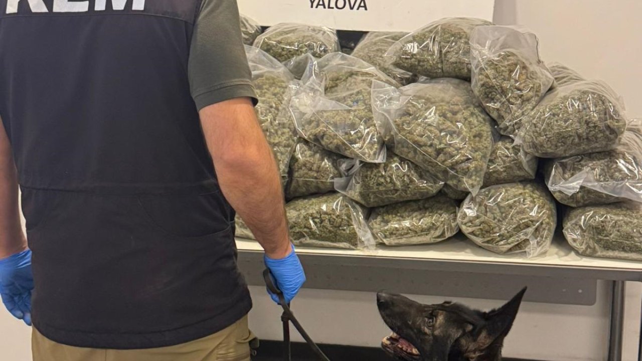 Limandaki TIR&#039;da 23 milyon lira değerinde 37,7 kilo uyuşturucu ele geçirildi; 5 gözaltı